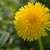 Image-square_50