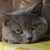 Image-square_50