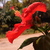 Image-square_50