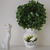 Image-square_50