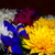 Image-square_50