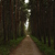 Image-square_50