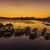 Image-square_50