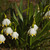 Image-square_50