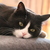 Image-square_50