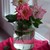 Image-square_50