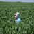 Image-square_50