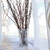Image-square_50