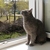 Image-square_50