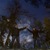 Image-square_50