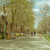 Image-square_50