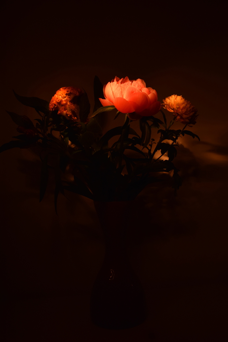 Image-normal