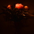 Image-square_50