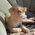Image-square_50
