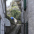 Image-square_50