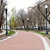 Image-square_50