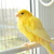 Image-square_50