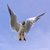 Image-square_50