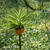 Image-square_50