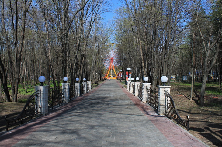 Image-normal