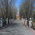Image-square_50