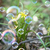 Image-square_50