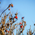 Image-square_50