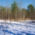 Image-square_50