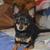 Image-square_50