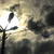 Image-square_50
