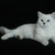 Image-square_50