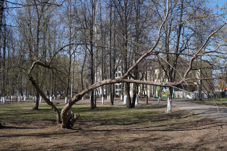 Image-normal