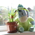 Image-square_50