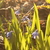 Image-square_50