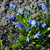 Image-square_50