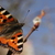 Image-square_50