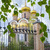 Image-square_50