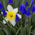Image-square_50