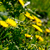 Image-square_50
