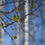 Image-square_50