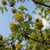 Image-square_50