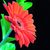 Image-square_50