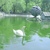 Image-square_50