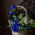 Image-square_50