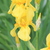 Image-square_50