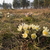 Image-square_50