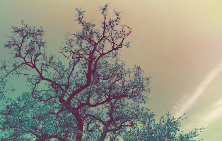 Image-normal