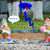 Image-square_50