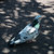 Image-square_50