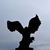 Image-square_50